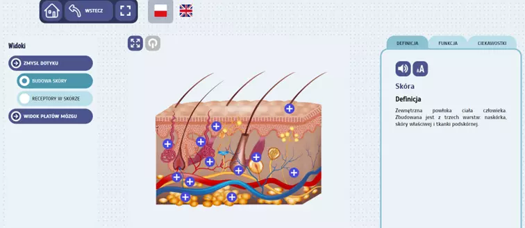 Eduexpert - Science-Lab. Fascynująca anatomia człowieka. Dotyk