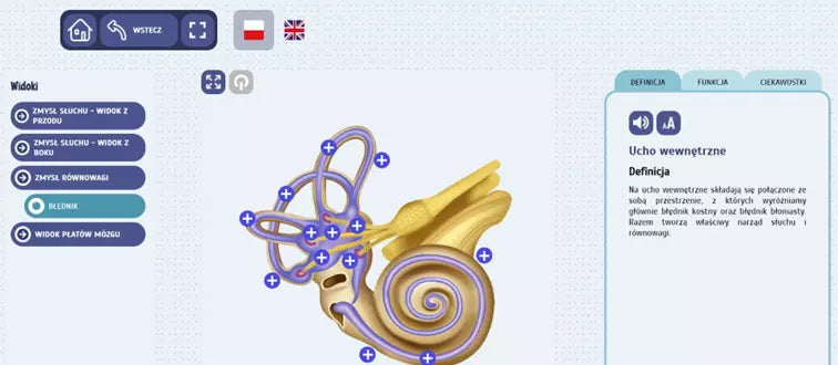 Eduexpert - Science-Lab. Fascynująca anatomia człowieka. Słuch i Równowaga