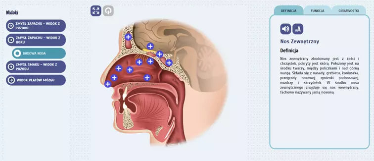 Eduexpert - Science-Lab. Fascinating human anatomy. Smell and Taste