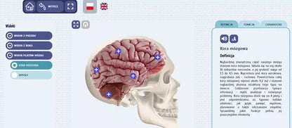 Eduexpert - Science-Lab. Fascinating Human Anatomy. Sight